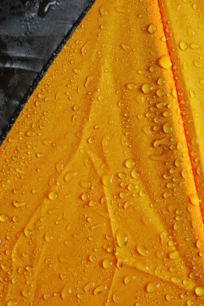 istock wet yellow and black umbrella canvas 1180223136