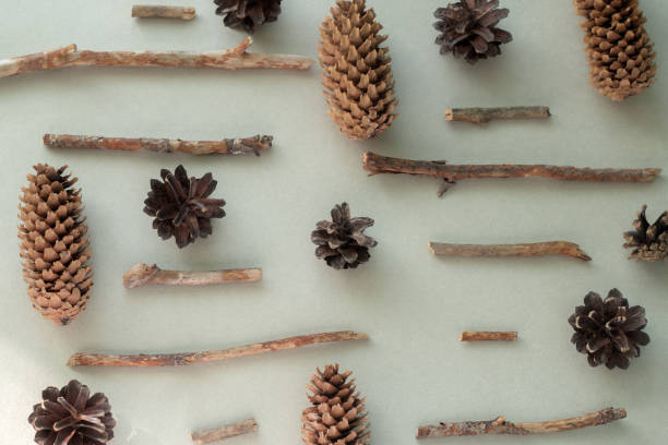 istock flat lay pine cones and wooden branches pattern on a gray background 1180223449