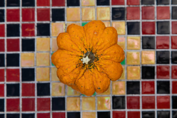 Bright small orange autumn decorative pumpkin isolated on ceramic mosaic background
