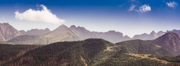 istock Tatra Mountains panorama - rocky summits of Carpathian Mountains Range 1180230500