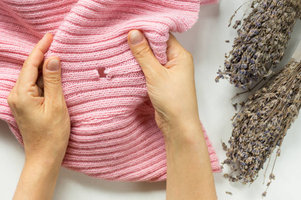 Woman hands holding knitted thing with hole made by mole and bunch of lavender Woman hands holding the knitted thing with hole made by mole and bunch of lavender moth photos stock pictures, royalty-free photos & images