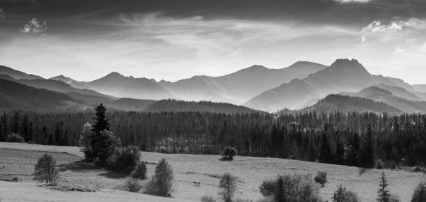 panorama do cume da montanha de tatra em preto e branco - tatra mountains zakopane lake mountain - fotografias e filmes do acervo