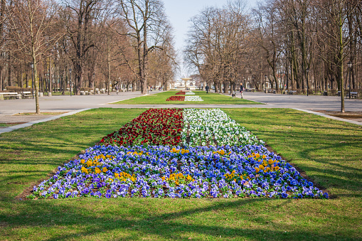 Warsaw, Poland - April 3, 2019: Beautiful Saxon garden, park with red, blue and white flowers. Orod Saski, a public park in the city center.