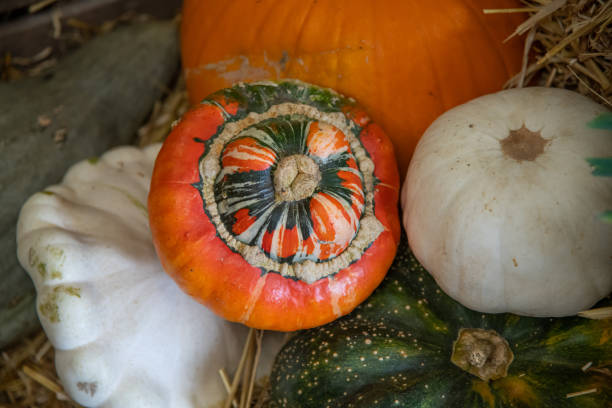 Colourful pumpkins and gourds on a hay bale