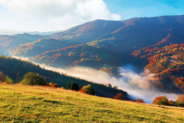 istock gorgeous sunny morning in mountain 1180238015