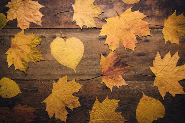 istock Autumn leaves on rustic wooden background. Top view with copy space. 1180238284
