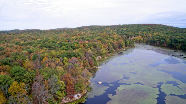 istock Wilderness lake and forest in early autumn 1180240919