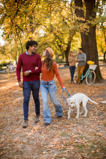 istock Multiracial couple walking with dog in autumn park 1180244413