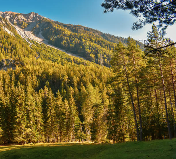 paisagem suíça colorida do outono em filisur. - graubunden canton fotos - fotografias e filmes do acervo