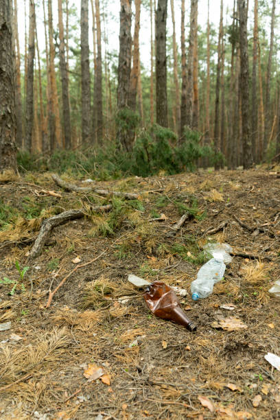 istock Empty plastic bottle in the form of garbage in the forest thrown by man. The concept of environmental pollution by human life products. 1180248347