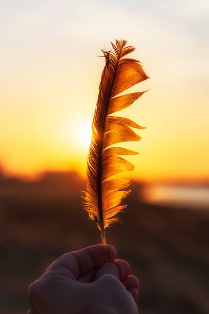 istock The guy holds a bird feather in his hand in front of the setting sun 1180249540