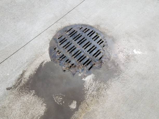 istock metal sewer drain or grate with mud or dirt and water 1180250013