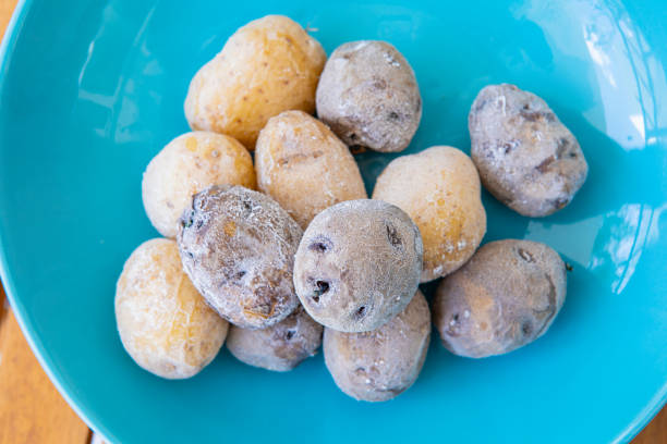 Papas arrugas, Yema de Huevo variety are the darker ones