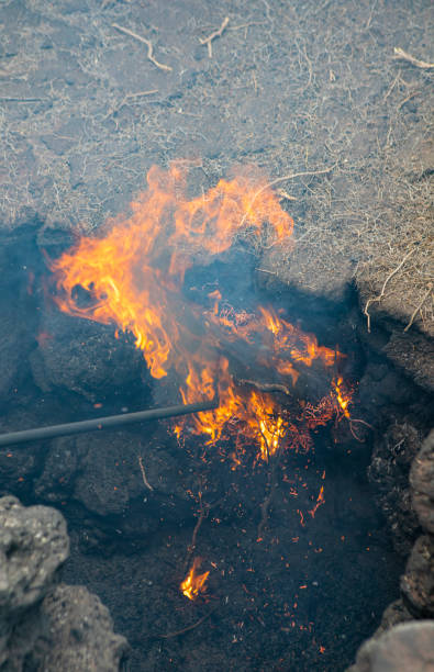 istock Fire in aulagas - Timanfaya Natural Park 1180250348