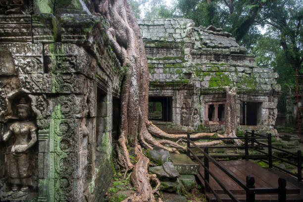 Prohm is the largest temple, it rains in the rainy season. Restorers spared banyan trees with their aerial roots. The preserved symbiosis of stone and wood allows us to see Ta Prohm in this form.(Cambodia, 04.10. 2019). prohm es el templo más grande, llueve en la temporada de lluvias. los restauradores salvaron a los árboles banianos con sus raíces aéreas. la simbiosis preservada de piedra y madera nos permite ver ta prohm en esta forma. (camboya, 04.10. 2019).
