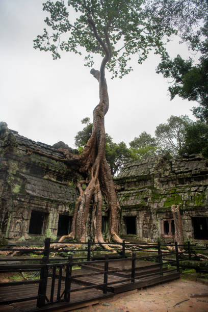 istock Prohm is the largest temple, it rains in the rainy season.  Restorers spared banyan trees with their aerial roots. The preserved symbiosis of stone and wood allows us to see Ta Prohm in this form.(Cambodia, 04.10. 2019). 1180254924
