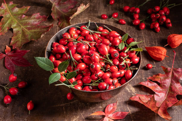 Fresh rose hips in a bowl on a table stock photo
