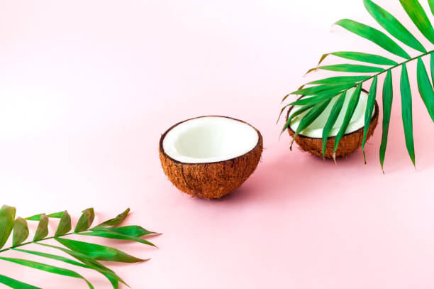istock Tropical background with palm leaves and coconut. Close-up 1180259228