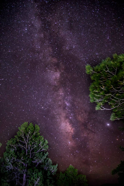 istock North Rim Milky Way 1180261816
