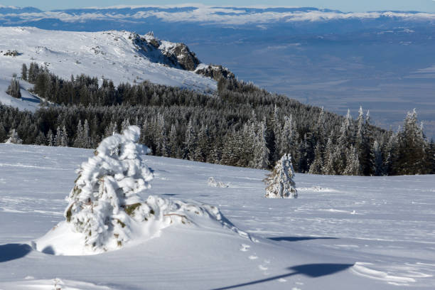 istock Winter Panorama of Vitosha Mountain, Bulgaria 1180262053