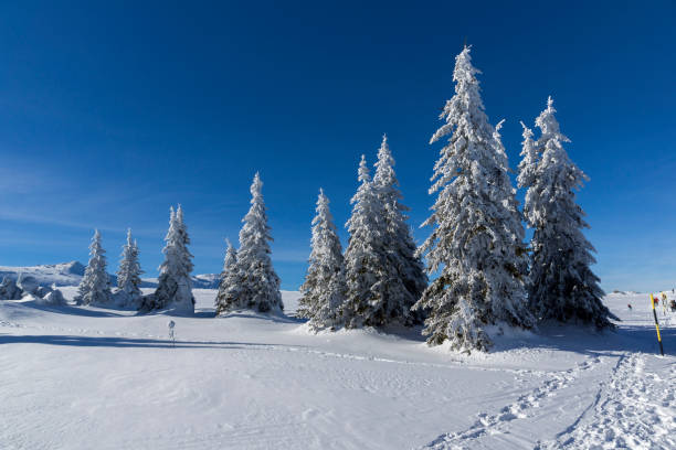 istock Winter Panorama of Vitosha Mountain, Bulgaria 1180262208