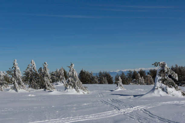 istock Winter Panorama of Vitosha Mountain, Bulgaria 1180262212