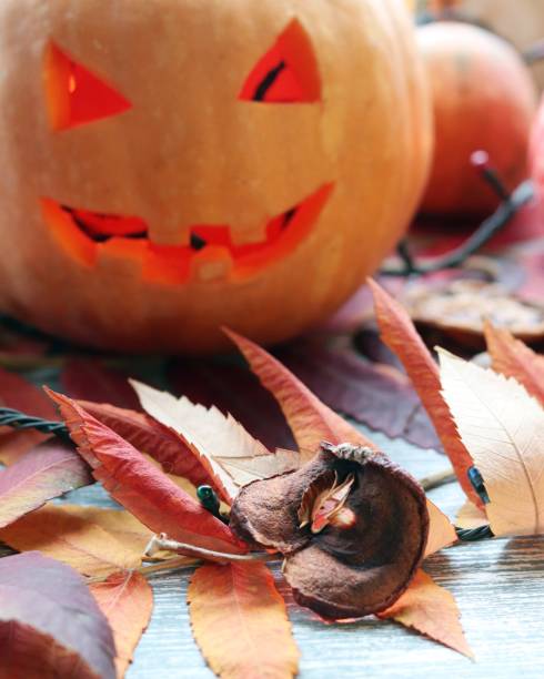 istock Halloween composition of Jack-o-lantern, pumpkins, illumination, mystical decor 1180263072