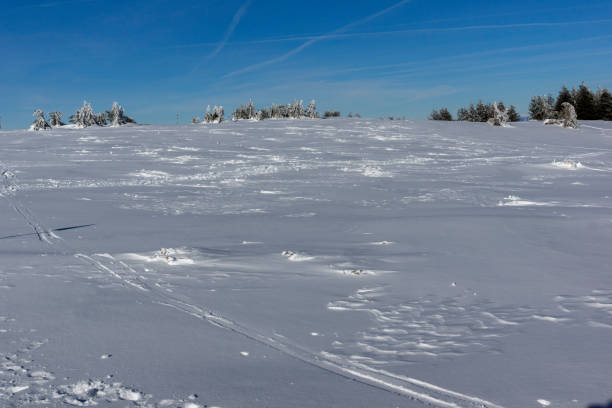 istock Winter Panorama of Vitosha Mountain, Bulgaria 1180263325