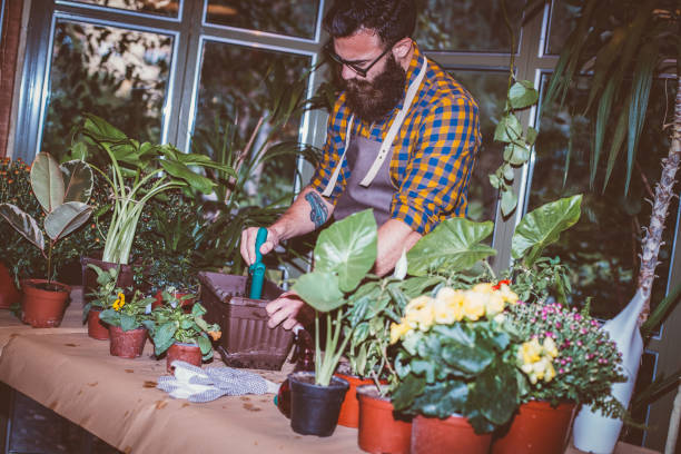 istock Gardening in a small home greenhouse 1180264822