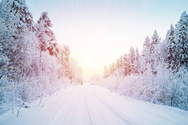 istock Beautiful fabulous winter landscape: the road going through the forest, everything is covered with snow at sunset 1180264917