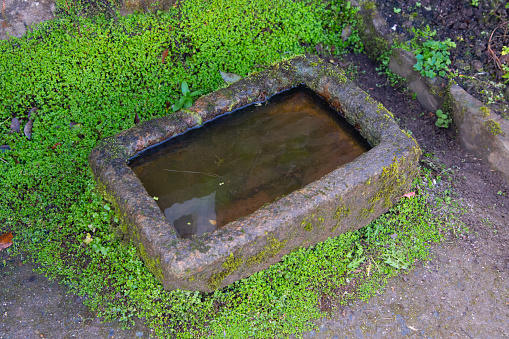 An old stone water trough full of water