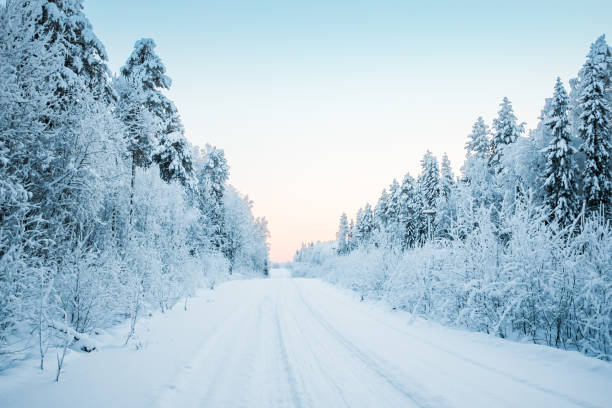 istock Beautiful fabulous winter landscape: the road going through the forest, everything is covered with snow 1180265333