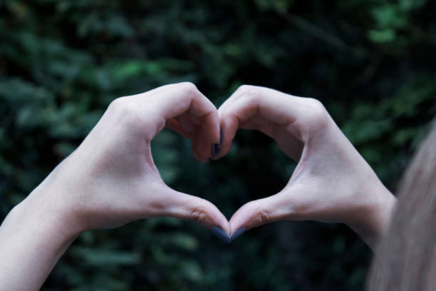 istock Female hands heart shape on isolated nature background 1180266068