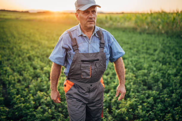 istock Senior farmer walking in field 1180266293