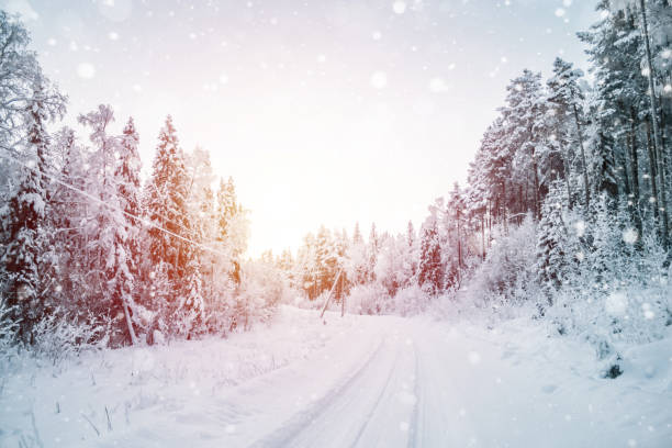 istock Beautiful fabulous winter landscape: the road going through the forest, everything is covered with snow at sunset 1180266474