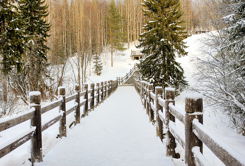 Beautiful winter landscape. Wooden bridge in a forest or park.