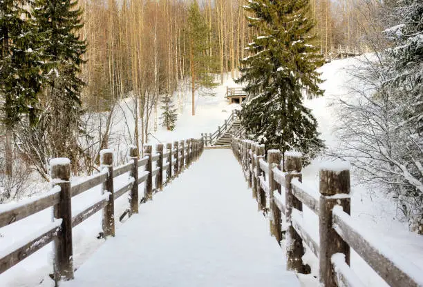 Photo of Beautiful winter landscape. Wooden bridge in a forest or park.