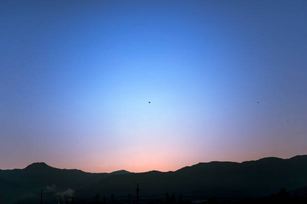 Sunrise sky and birds flying in the sky