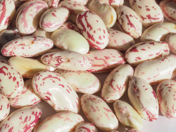 istock crimson beans legumes vegetables food 1180267546
