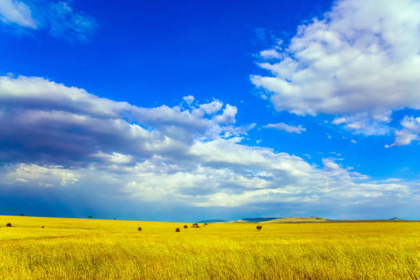 istock The Horn of Africa 1180272174
