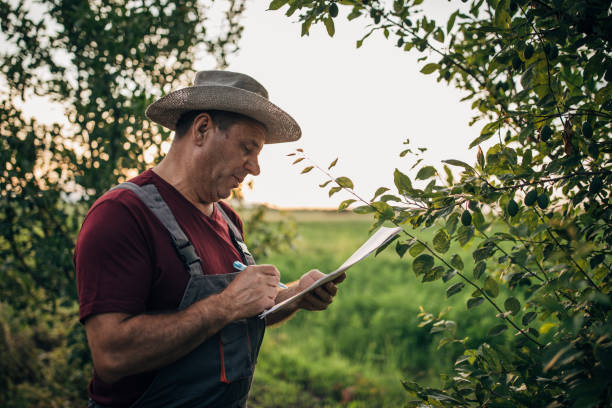istock Senior farmer examining quality of trees in orchard 1180273432