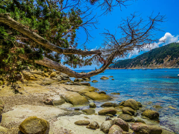 istock Costa Rei, Sardinia, Italy 1180273594