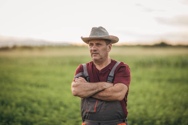 istock Senior farmer at field 1180273796