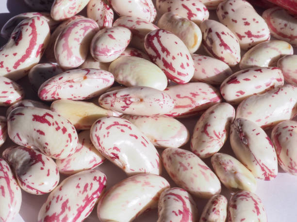 istock crimson beans legumes vegetables food 1180273808
