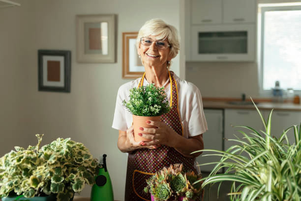 Senior Woman With Green Plants and Flowers Looking at Camera Portrait of Happy Senior Woman With Green Plants and Flowers Looking at Camera elder plant stock pictures, royalty-free photos & images