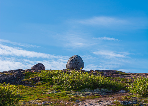 A single round stone seems to float above the Bush. Stone against a blue sky with cirrus clouds. A bush swaying by the wind.