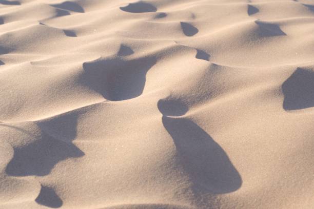 Sand dunes and ripples in the desert on a clear, sunny day