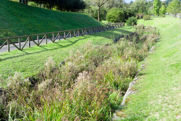 An irrigation drainage canal overgrown with reeds and vegetation in a wild park on a hillside An irrigation drainage canal overgrown with reeds and vegetation in a wild park on a hillside. Damage from untimely maintenance storm system stock pictures, royalty-free photos & images