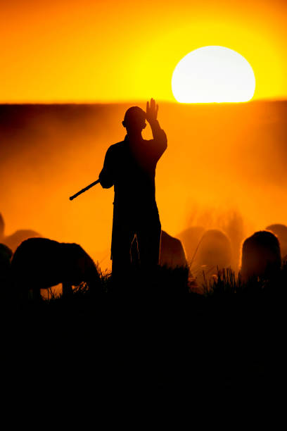 istock Sunset nature and shepherd. Sunset nature background. Sheeps and shepherd silhouette. 1180280562