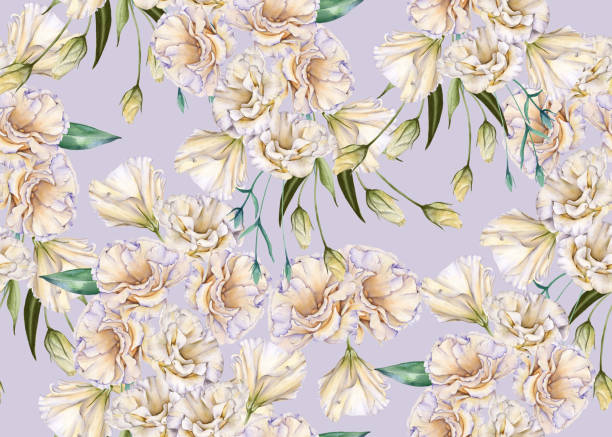 Background of white roses. Eustoma. Seamless pattern. Background of white roses. Eustoma. Seamless pattern. Watercolor illustration drawing of a green lisianthus stock illustrations